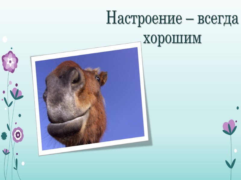 Настроение – всегда хорошим